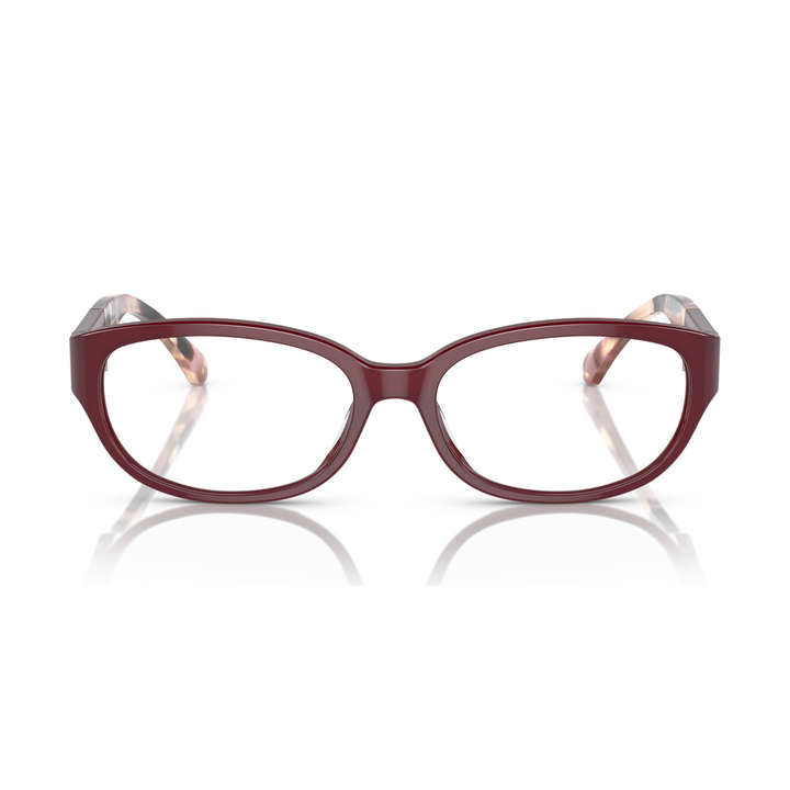 Lentes Take Over