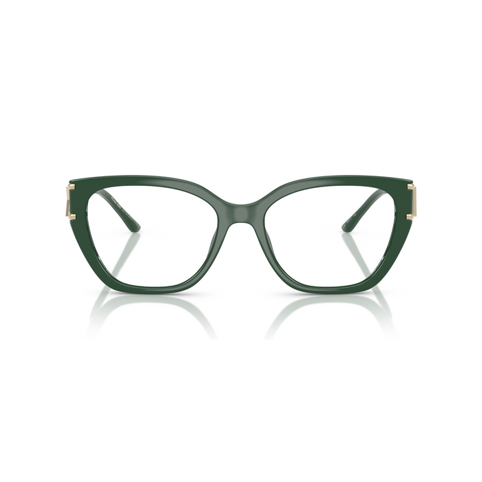 Lente oftálmico Michael Kors  0MK4140U - Verde