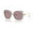 Lente de sol Swarovski 0SK6011 - Café