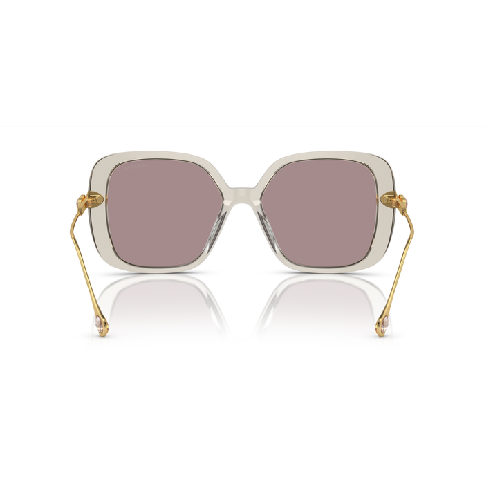 Lente de sol Swarovski 0SK6011 - Café