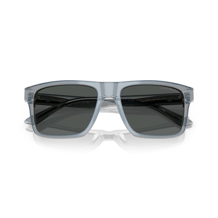 Lente de sol Emporio Armani  0EA4232 - gris