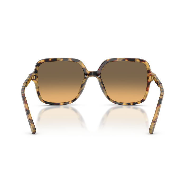 LENTES DE SOL DOLCE & GABBANA  MUJER  -DG4539