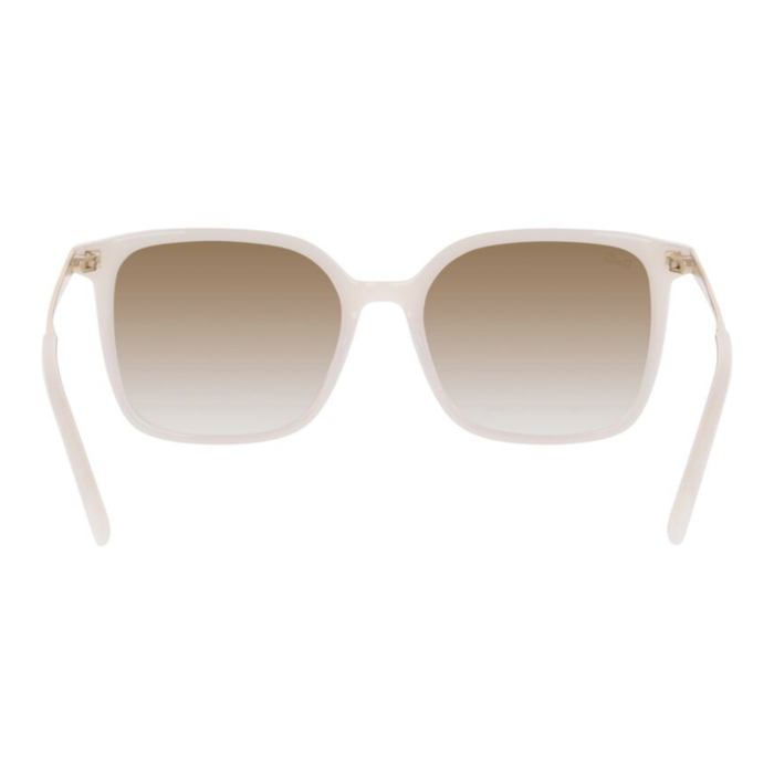 LENTES DE SOL DBYD  MUJER  -DB4054