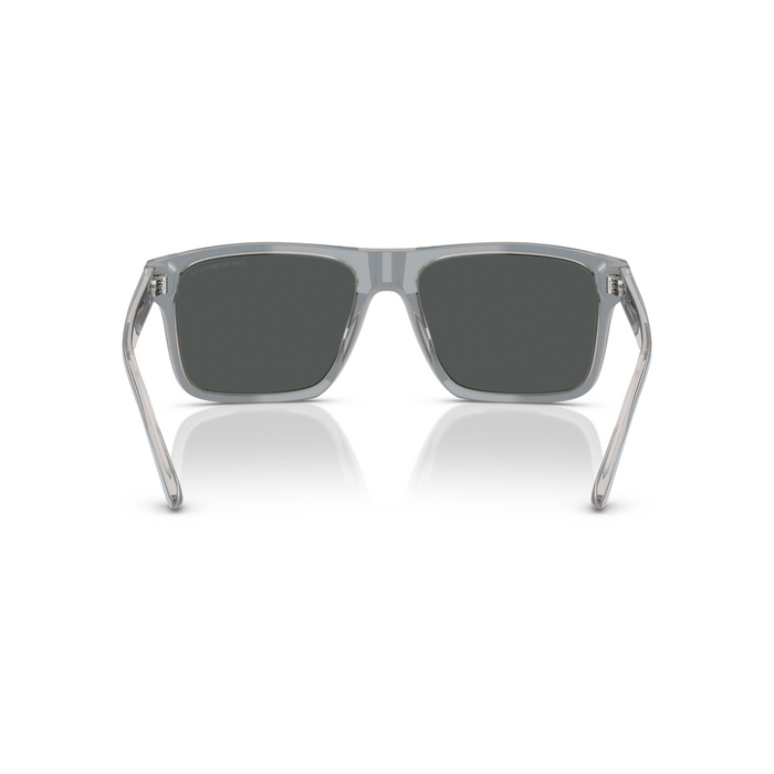 Lente de sol Emporio Armani  0EA4232 - gris