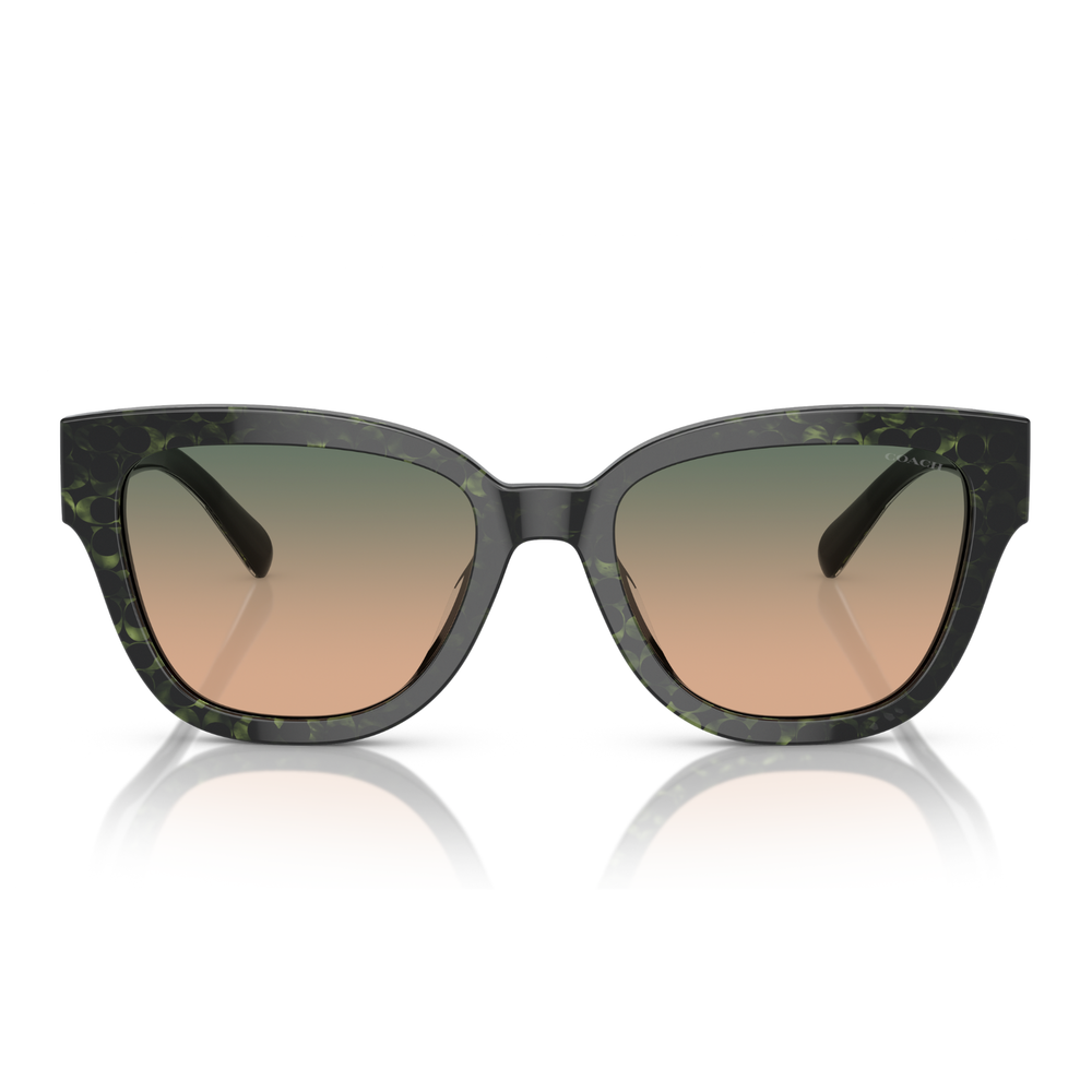 LENTES DE SOL COACH HC8379U