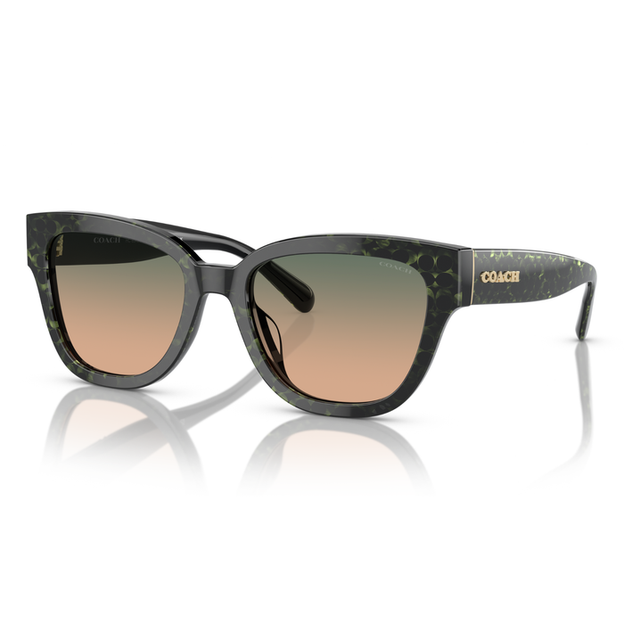 LENTES DE SOL COACH HC8379U