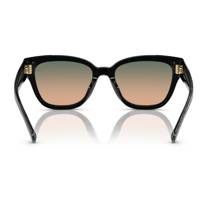 LENTES DE SOL COACH HC8379U