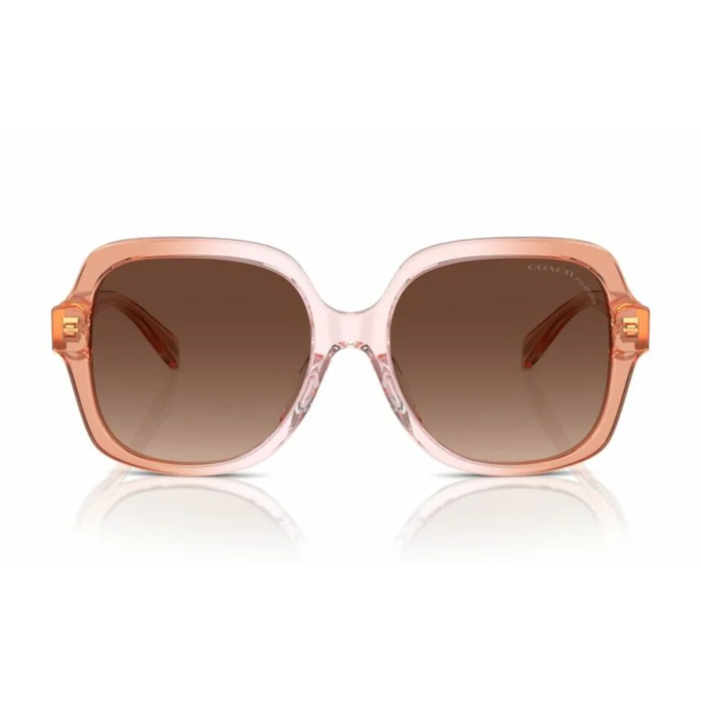 LENTES DE SOL COACH HC8395U