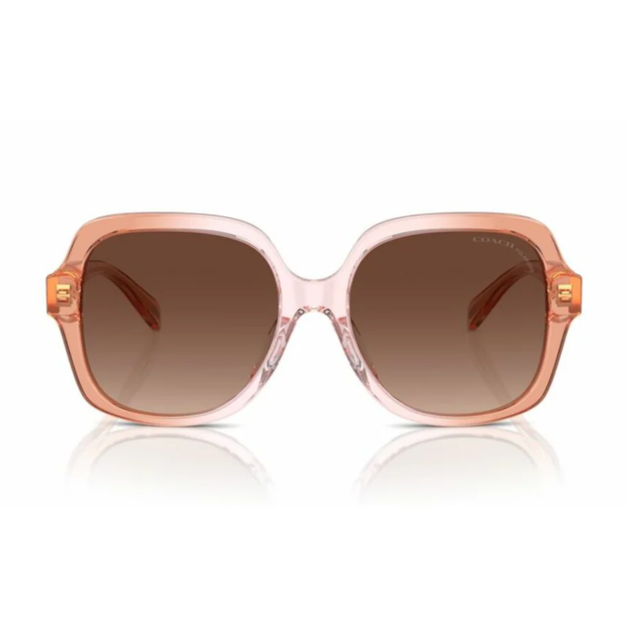 LENTES DE SOL COACH HC8395U