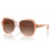 LENTES DE SOL COACH HC8395U