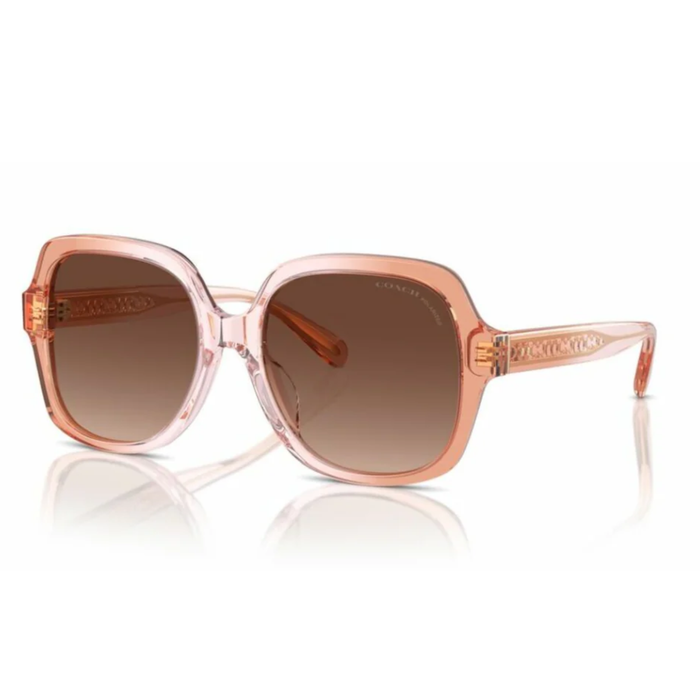 LENTES DE SOL COACH HC8395U