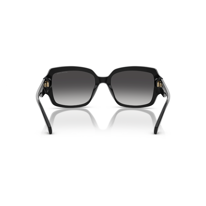 LENTE DE SOL MICHAEL KORS - 0MK2233B