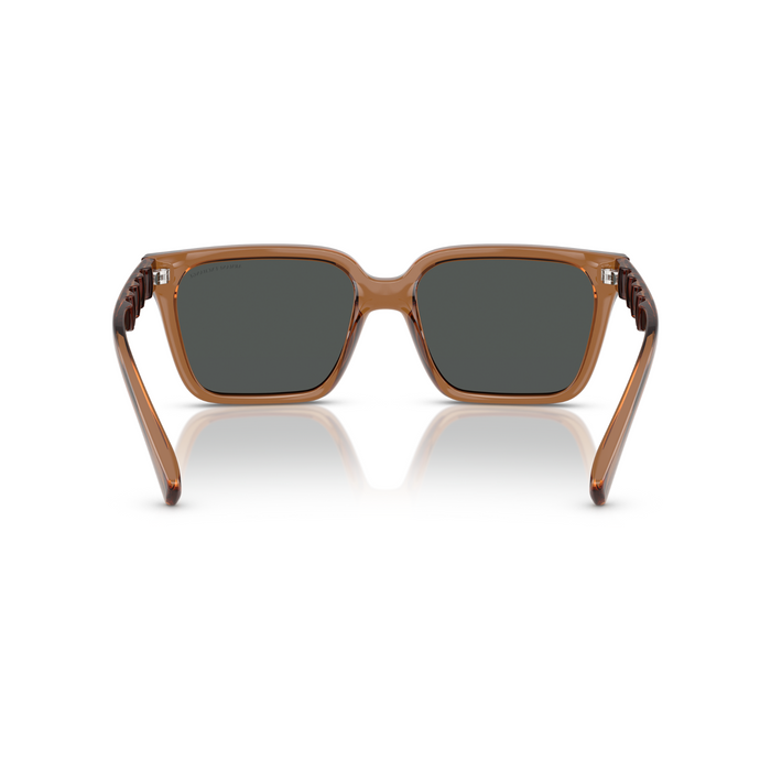 LENTE DE SOL ARMANI EXCHANGE - 0AX4147S