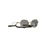 LENTE DE SOL KIPLING - 0KP2030
