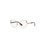 LENTE OFTALMICO KIPLING - 0KP1124