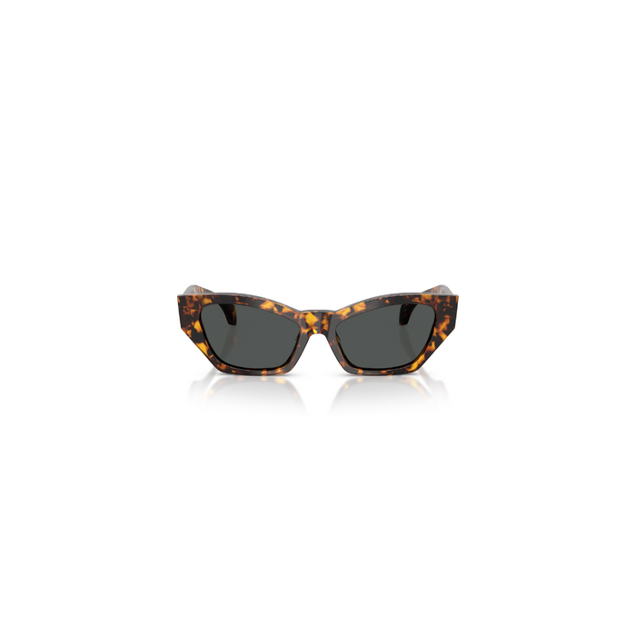 LENTE DE SOL VERSACE - 0VE4488U