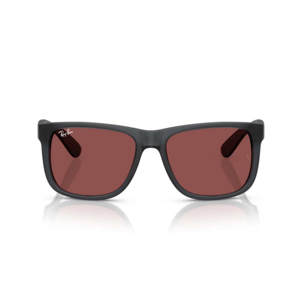 LENTES DE SOL RAY-BAN HOMBRE - RB4165
