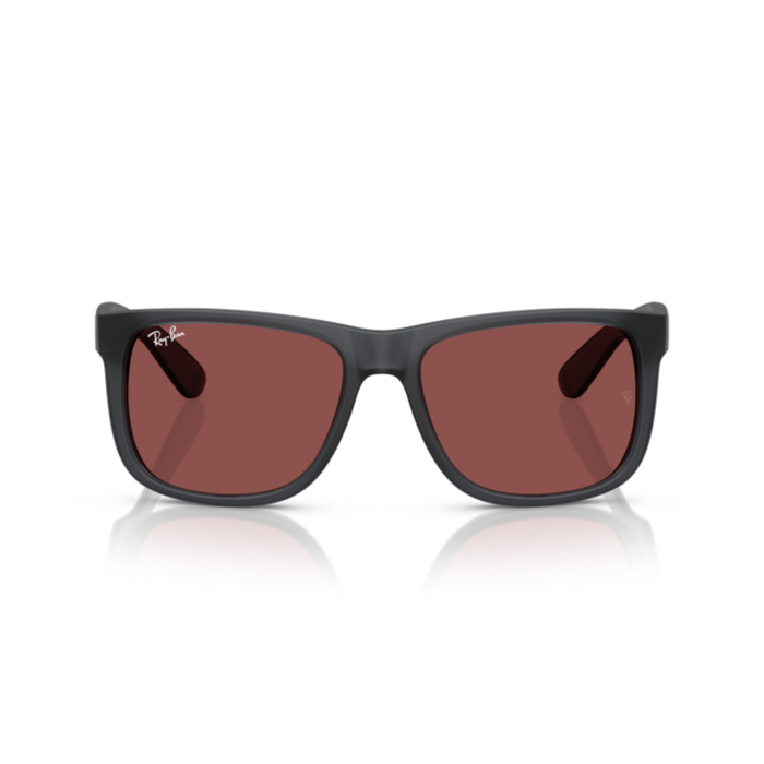 LENTES DE SOL RAY-BAN HOMBRE - RB4165