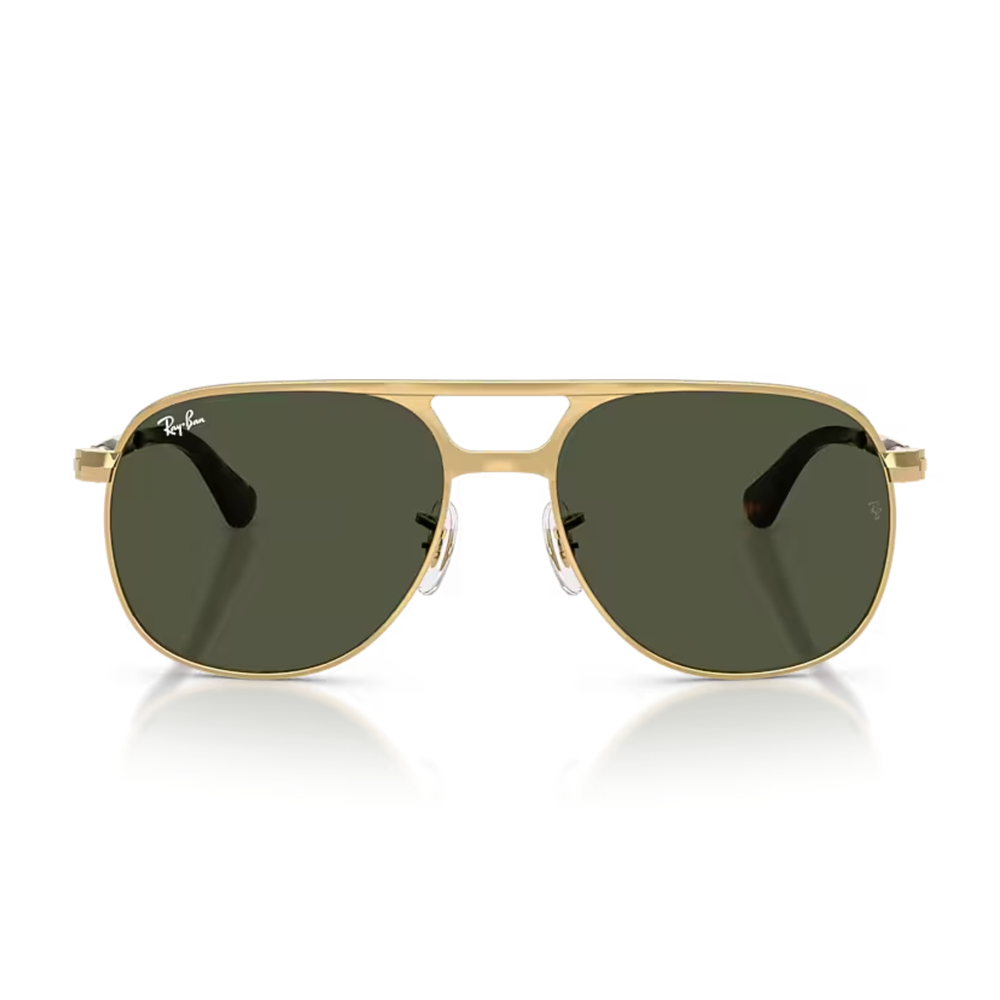 Lentes de Sol RAYBAN RB3793