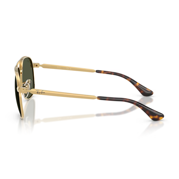 Lentes de Sol RAYBAN RB3793