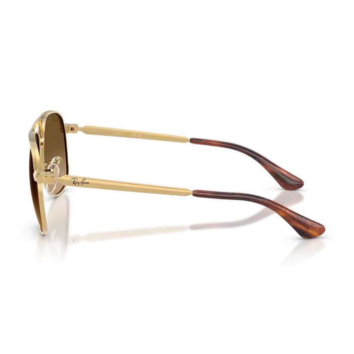Lentes de Sol RAYBAN RB3793