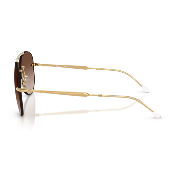 Lentes de Sol RAYBAN RB3791
