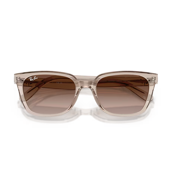 Lentes de Sol RAYBAN RB2243D