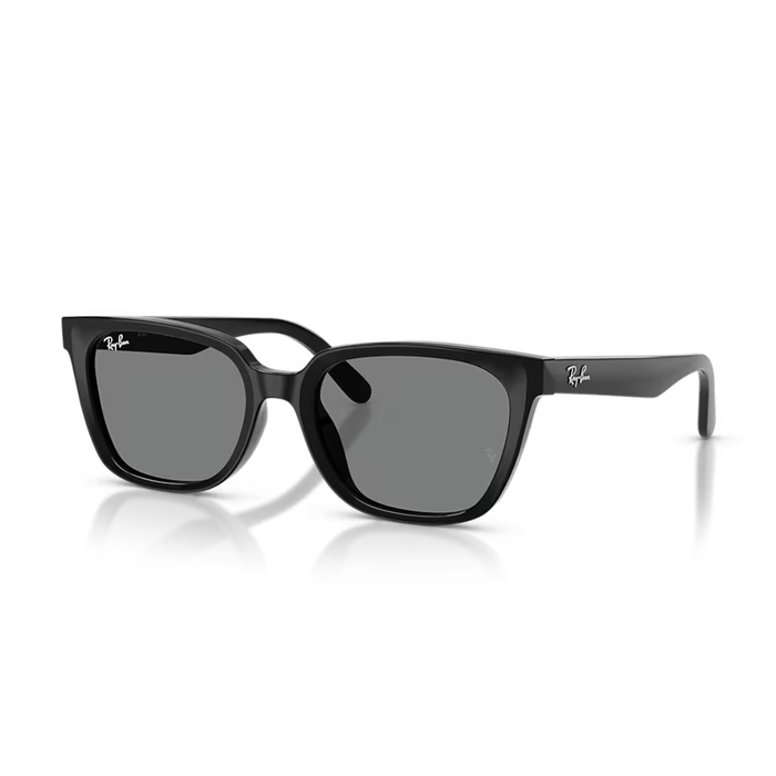 Lentes de Sol RAYBAN RB2243D