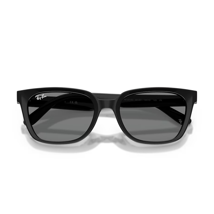 Lentes de Sol RAYBAN RB2243D