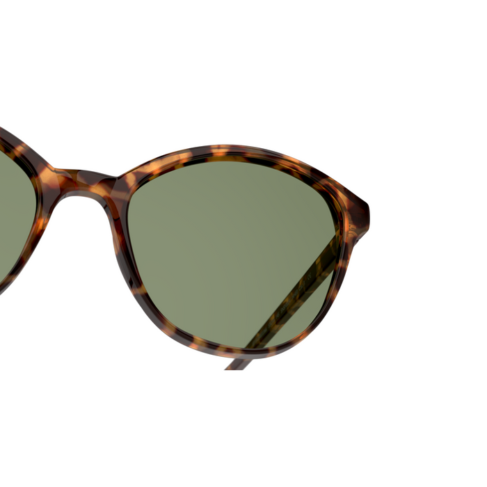 LENTE DE SOL SEEN - 0NE6004