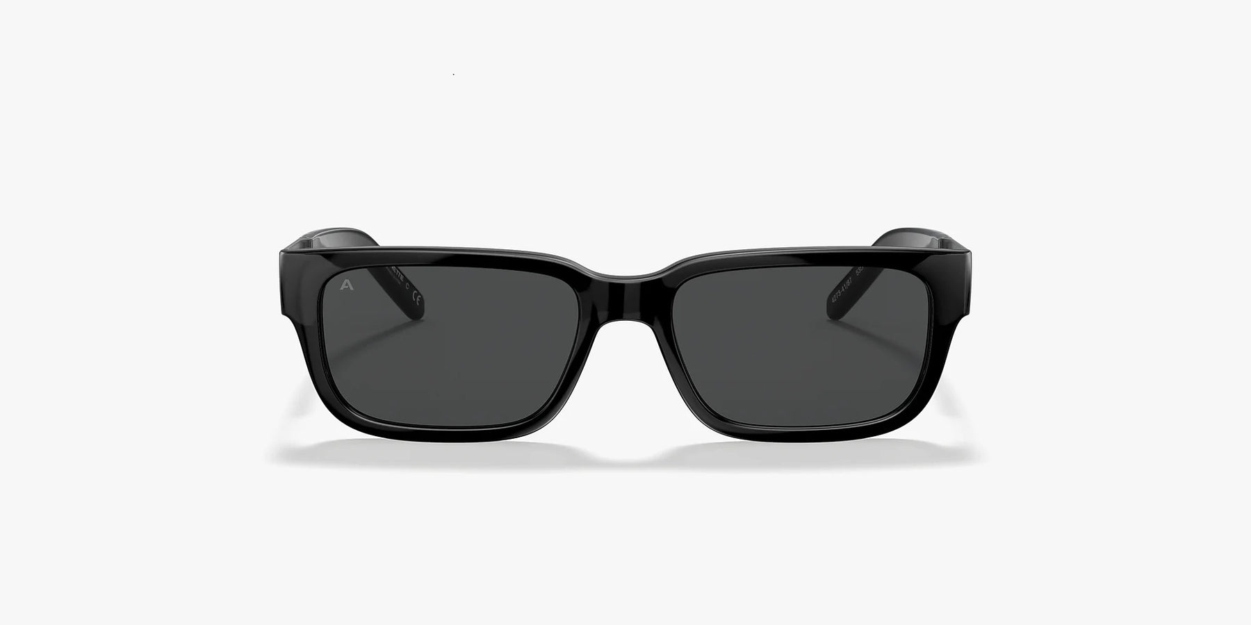 LENTE DE SOL ARNETTE - 0AN4273