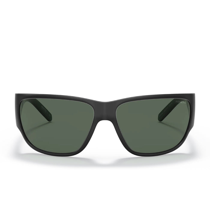 LENTE DE SOL ARNETTE - 0AN4280